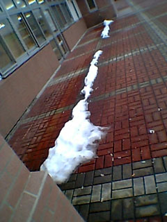 磐梯高原SAの雪